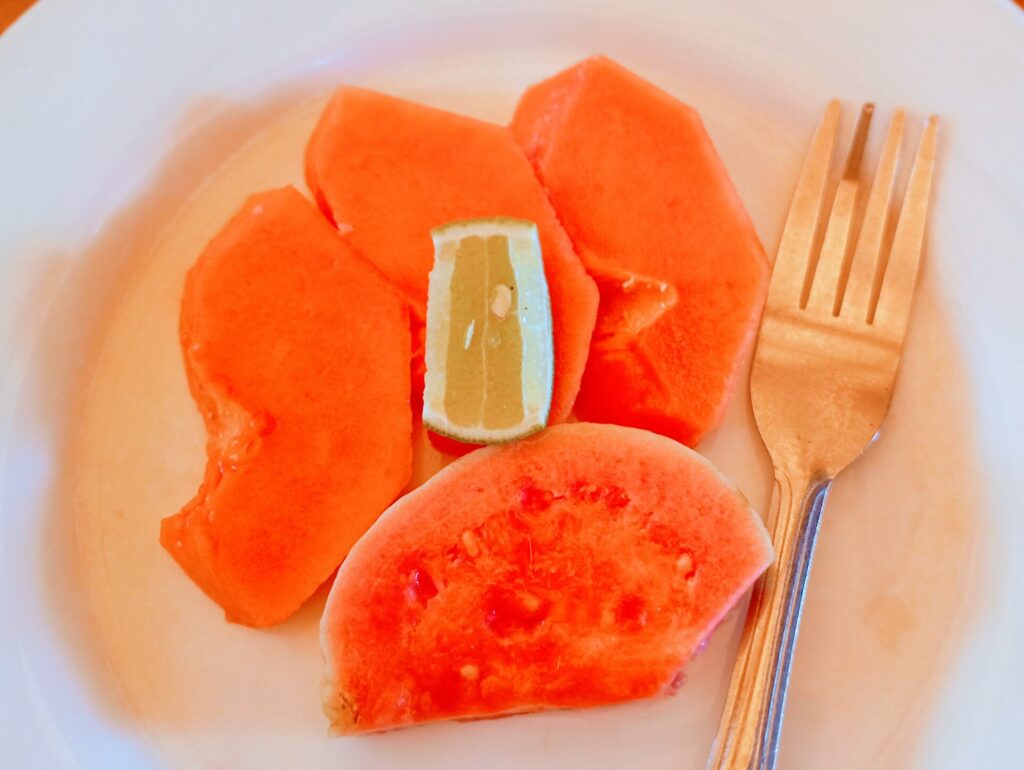 ナシチャンプルコースのフルーツ